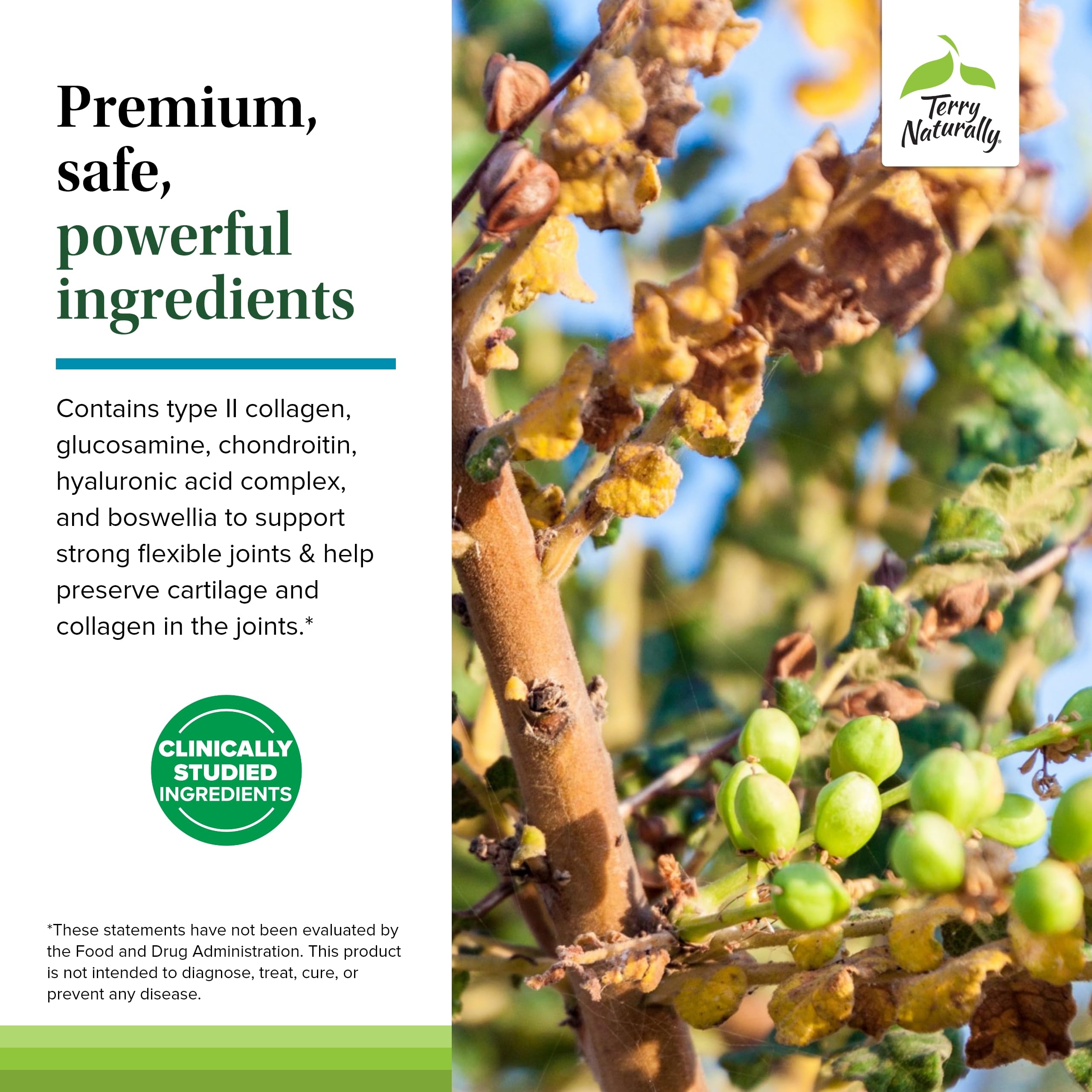 Etiqueta de ingredientes de Terry Naturally Be Mobile mostrando colágeno tipo II y boswellia