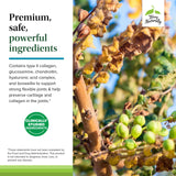 Etiqueta de ingredientes de Terry Naturally Be Mobile mostrando colágeno tipo II y boswellia