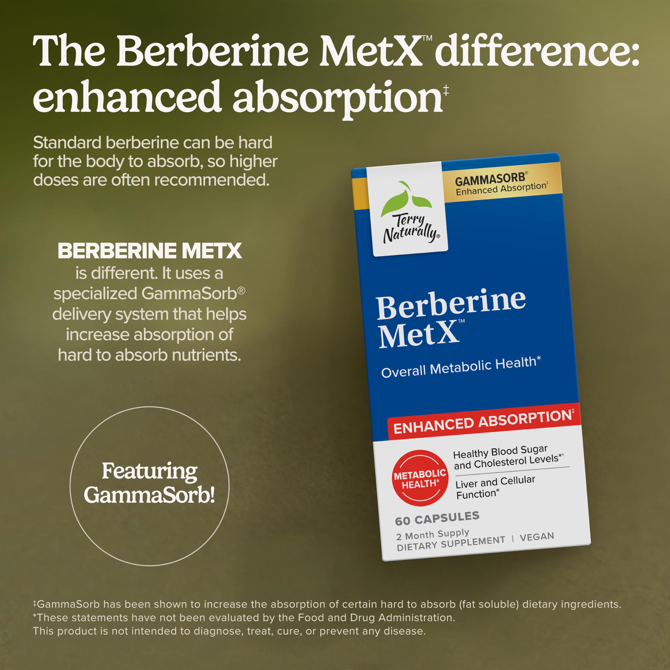 Detalle macro del polvo de Terry Naturally Berberine MetX que ilustra textura y pureza