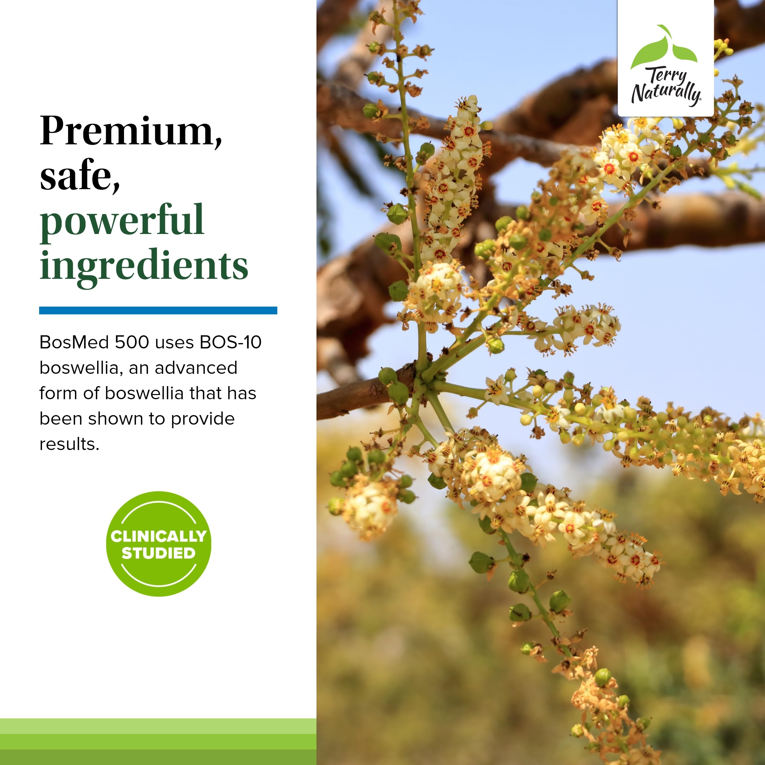 Terry Naturally BosMed 500 etiqueta trasera con lista de ingredientes y dosificación