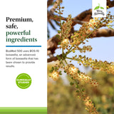 Terry Naturally BosMed 500 etiqueta trasera con lista de ingredientes y dosificación