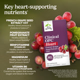 Terry Naturally mezcla de extracto de semilla de uva y pomegranate para apoyo vascular