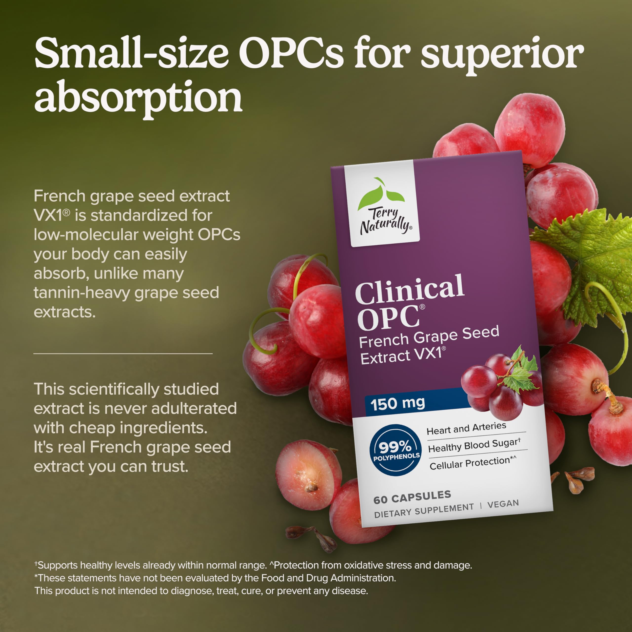 Terry Naturally Clinical OPC primer plano de softgel mostrando textura lisa y fácil ingestión
