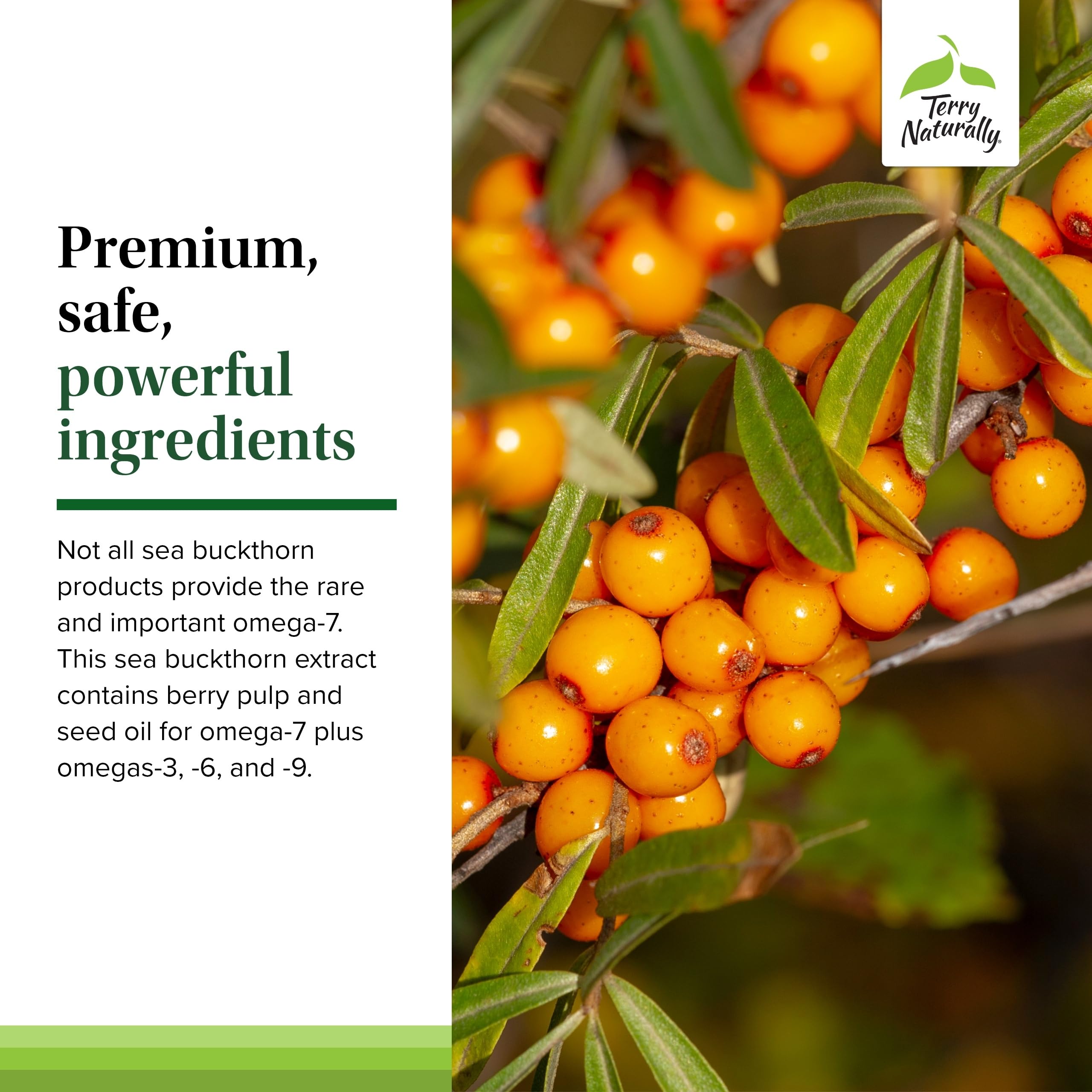 Terry Naturally frasco en mano para comparar tamaño y dosis