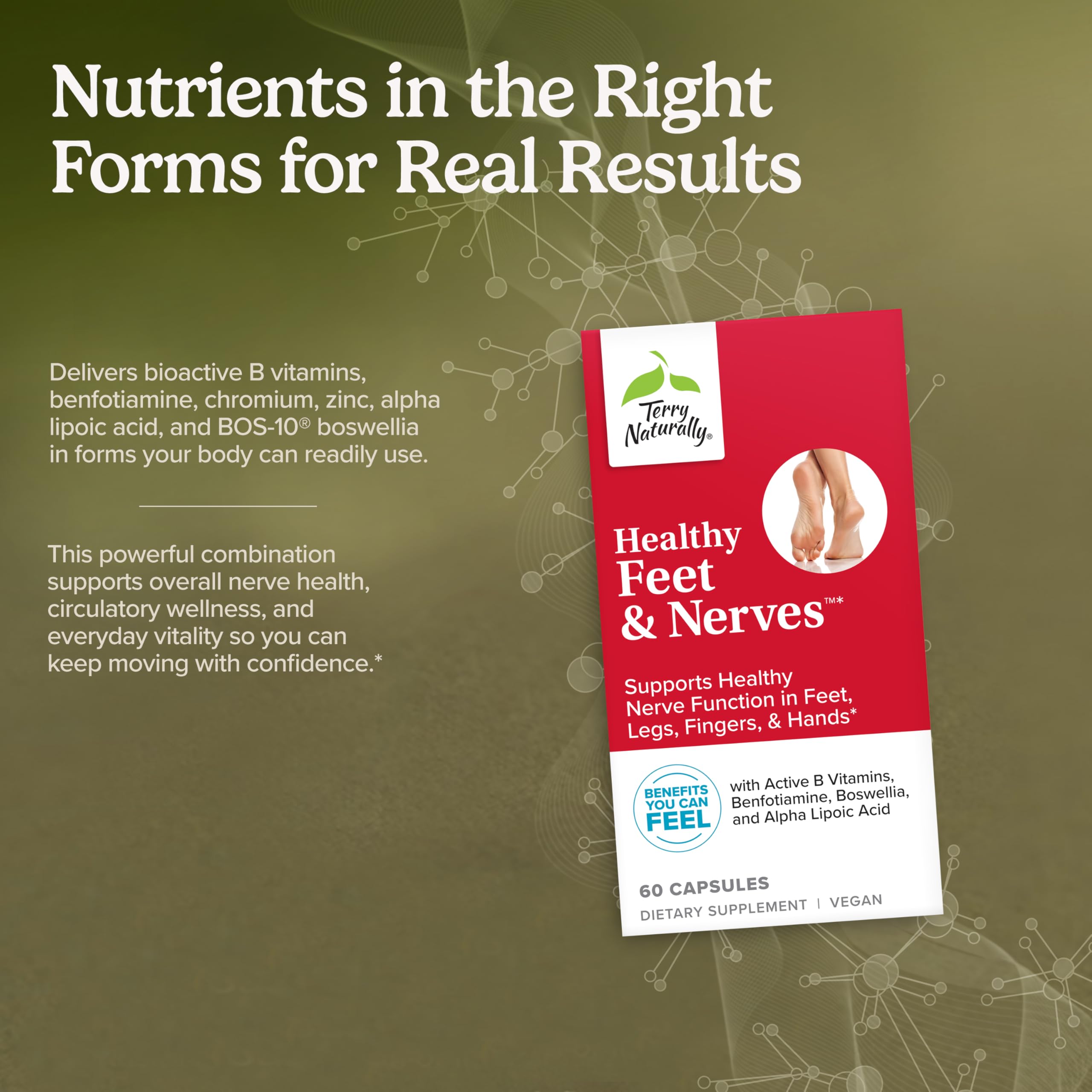 Terry Naturally detalle de boswellia serrata y vitaminas como foco herbal