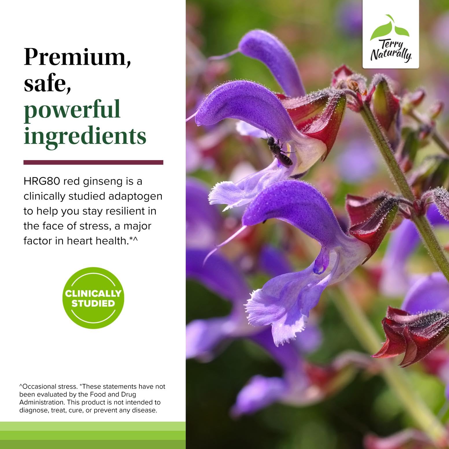 Terry Naturally Red Sage Plus etiqueta de ingredientes y beneficios para transparencia