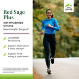 Terry Naturally Red Sage Plus textura del polvo herbal para apreciar calidad del extracto
