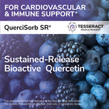 Tesseract QuerciSorb SR detalle de tableta, textura compacta y diseño de liberación