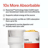 The Absorption Company textura de cápsula vegana vista cercana y fácil absorción