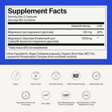 The Absorption Company sello de calidad cGMP y NSF indicando control y pruebas