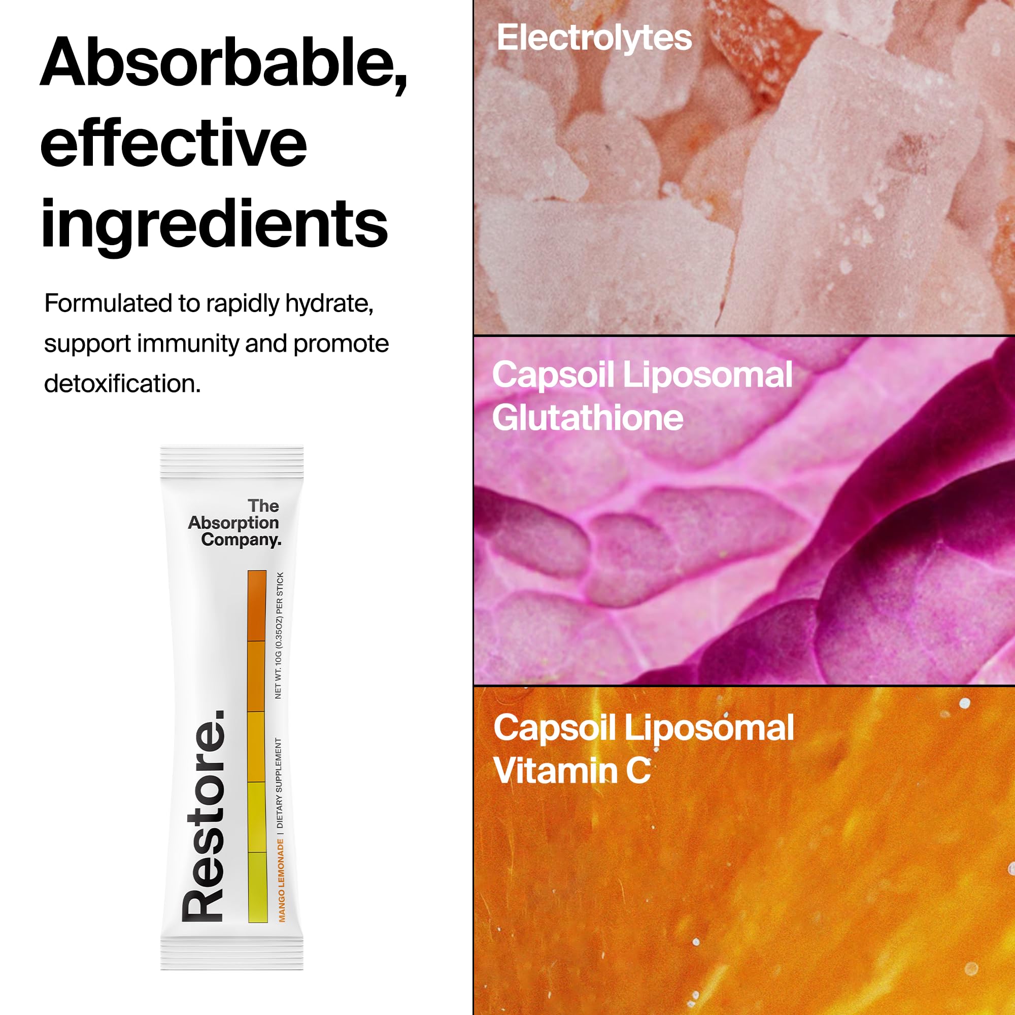 The Absorption Company polvo Restore mezclado en vaso para hidratación instantánea