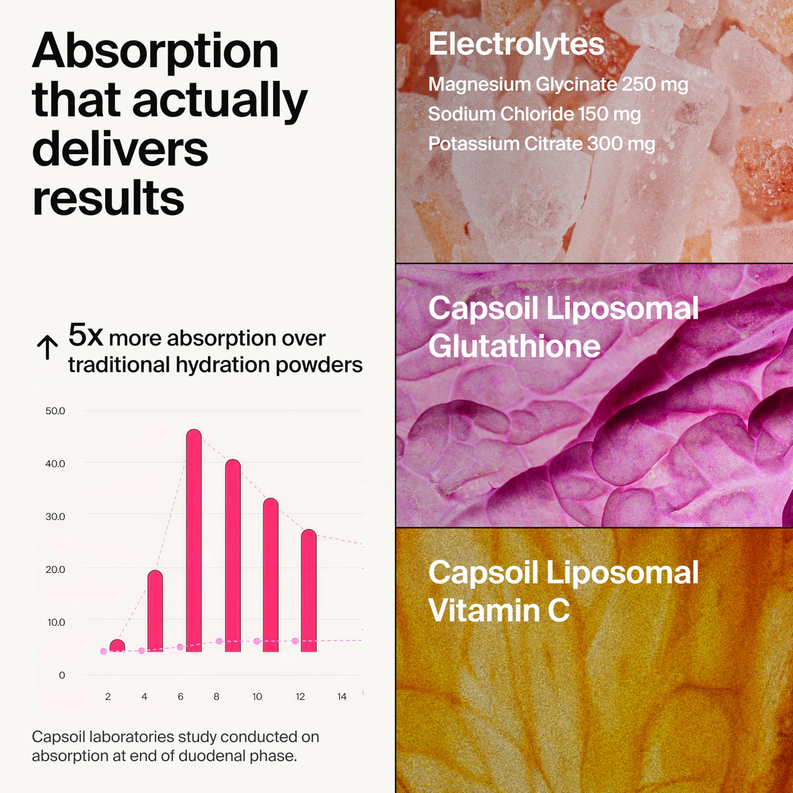 The Absorption Company sobre individual en mano, práctico para llevar y usar