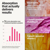 The Absorption Company sobre individual en mano, práctico para llevar y usar