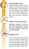 The Delgado Protocol for Health: Estroblock PRO sobre encimera junto a verduras crucíferas sugeriendo soporte dietético