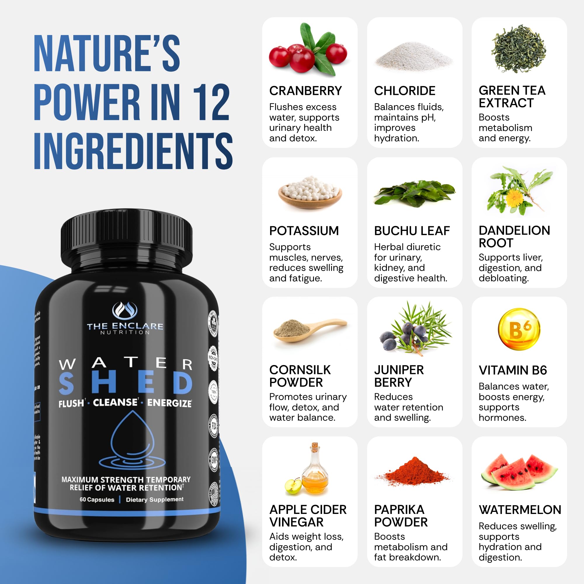 THE ENCLARE NUTRITION textura de ingredientes en polvo destacando origen natural