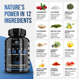 THE ENCLARE NUTRITION textura de ingredientes en polvo destacando origen natural