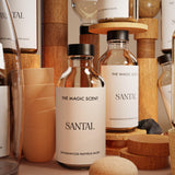THE MAGIC SCENT ilustración de notas Santal mostrando sándalo, cardamomo y cedro para carácter