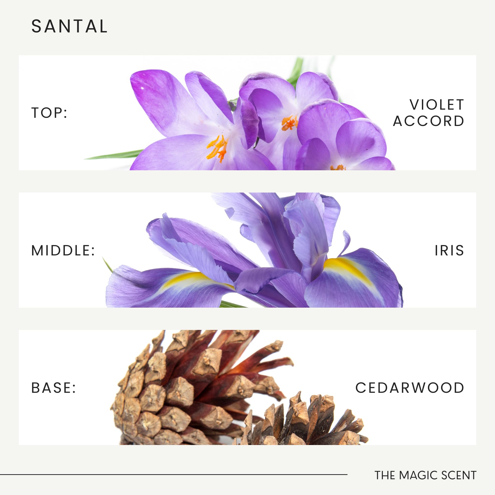 THE MAGIC SCENT etiqueta Santal con ingredientes y seguridad, aporta confianza al consumidor