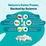 The Plug polvo de cúrcuma en primer plano, apoyo antioxidante vegetal