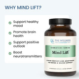The Wellness Company Mind Lift primeros planos de etiquetas de GABA, DHA y ashwagandha