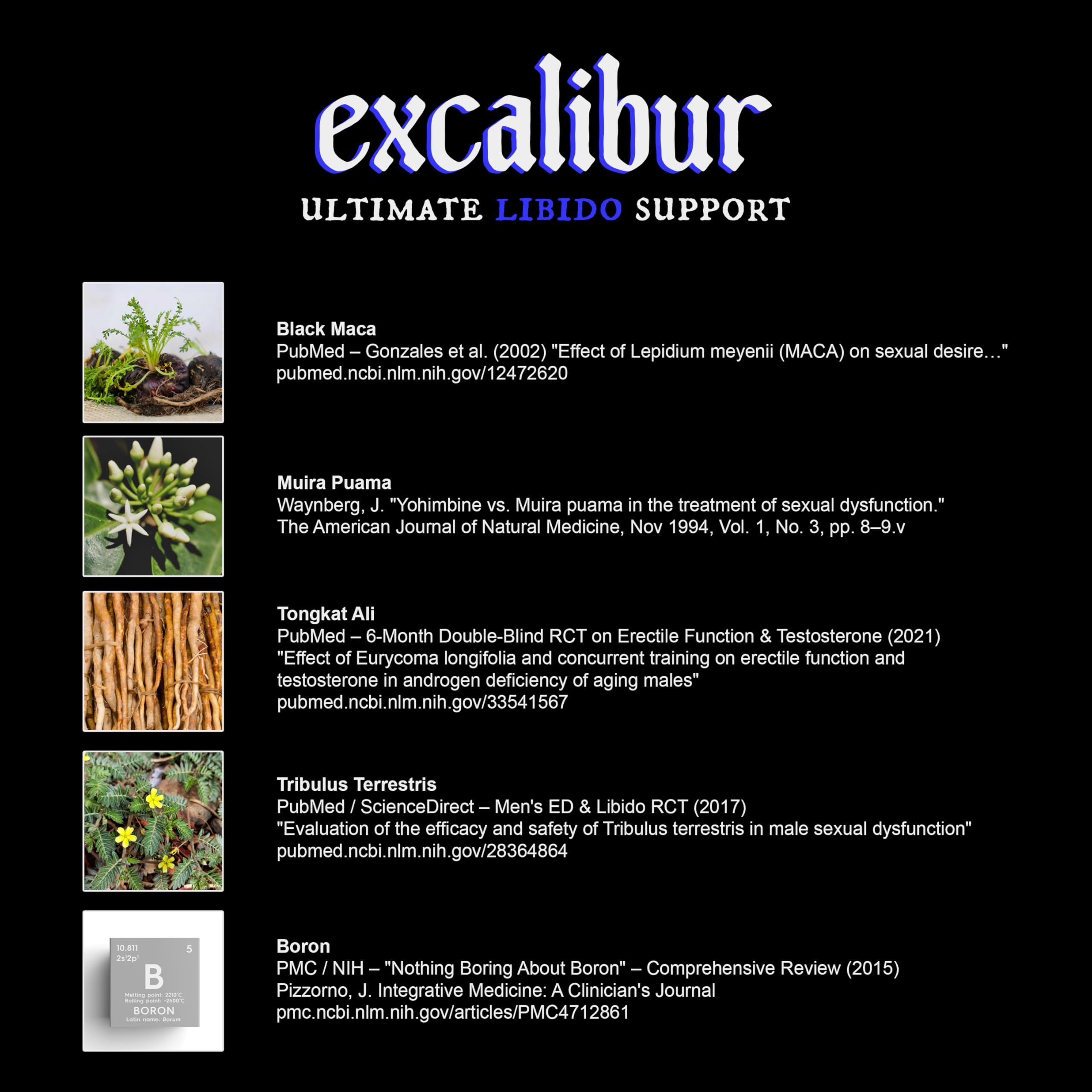 Comparación de tamaño de la cápsula Excalibur con una moneda para referencia práctica
