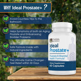 Therabotanics Ideal Prostate Plus etiqueta legible con vitaminas y extractos