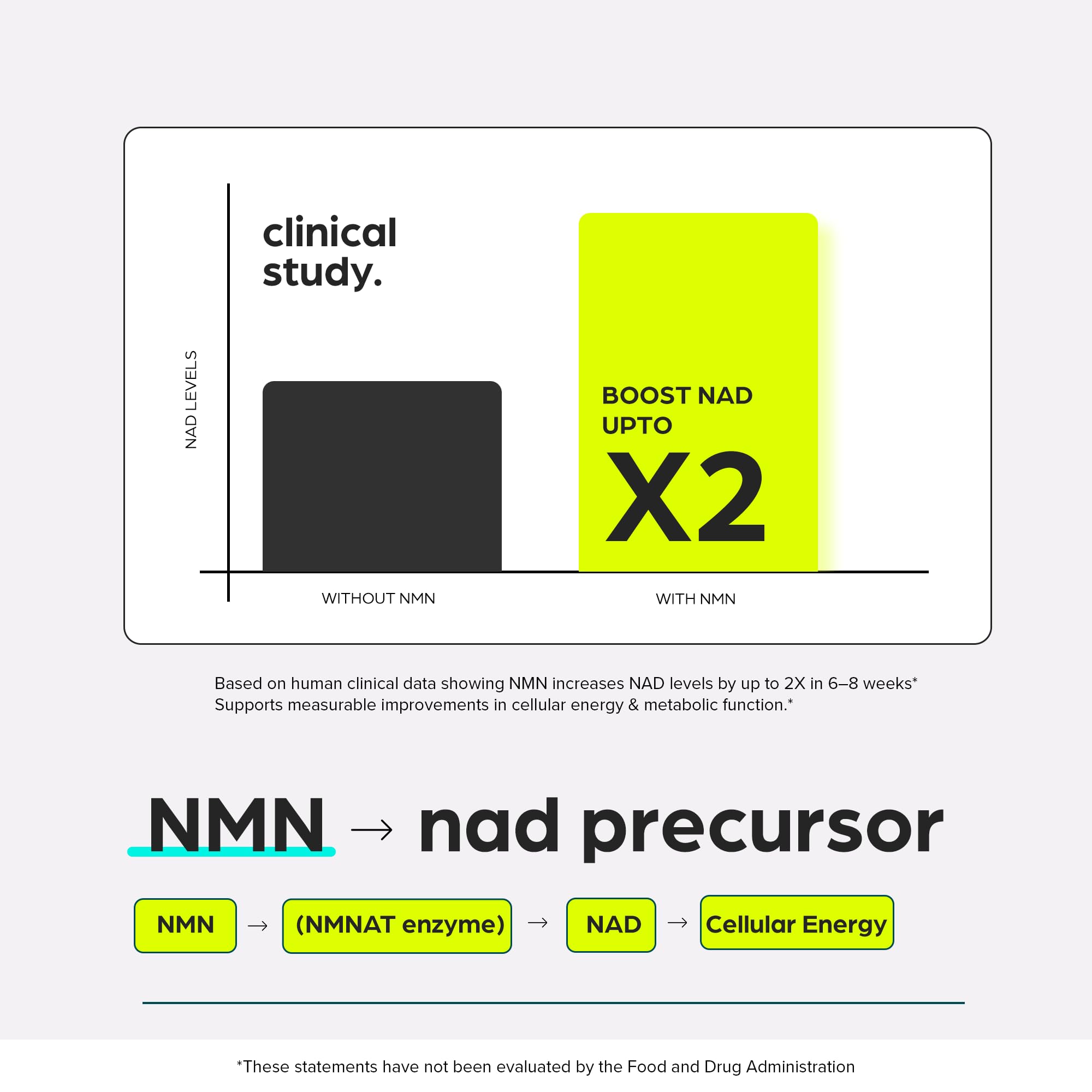 Thinbi etiqueta nutricional clara que indica ingredientes verificados