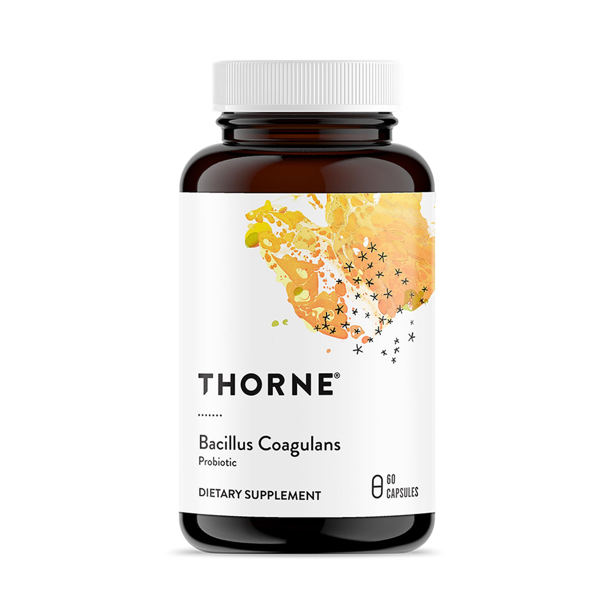 THORNE frasco frontal Bacillus coagulans muestra presentación y beneficio práctico