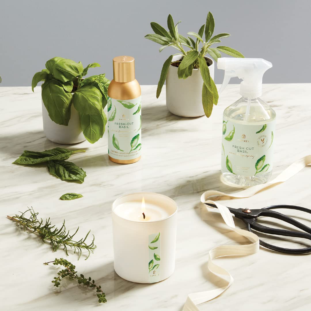 Thymes junto a hoja de albahaca fresca para destacar el aroma natural