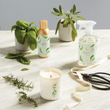 Thymes junto a hoja de albahaca fresca para destacar el aroma natural