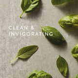 Thymes etiqueta con lista de notas: albahaca, hoja de tomate y salvia