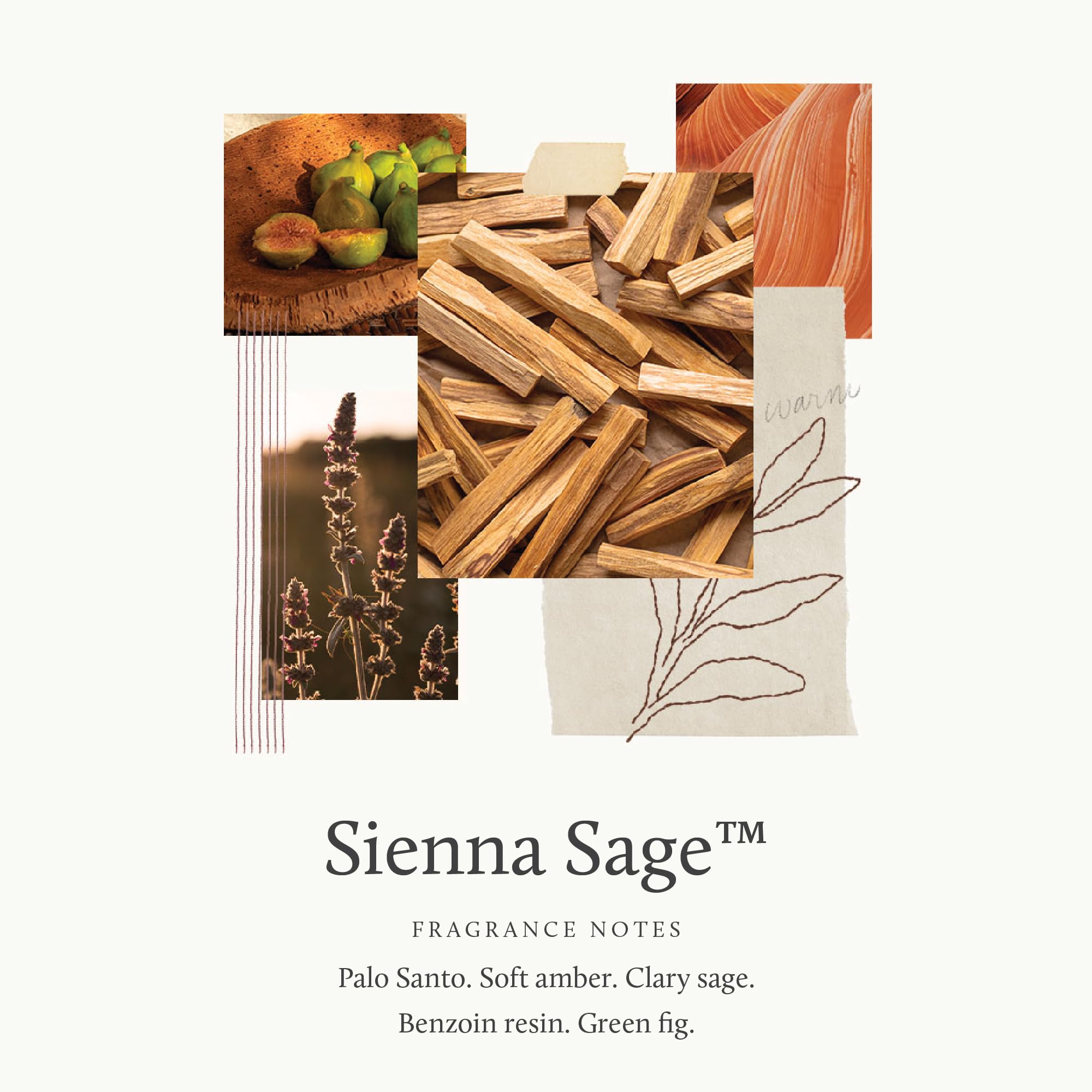 Thymes Sienna Sage en uso en sala aportando atmósfera acogedora