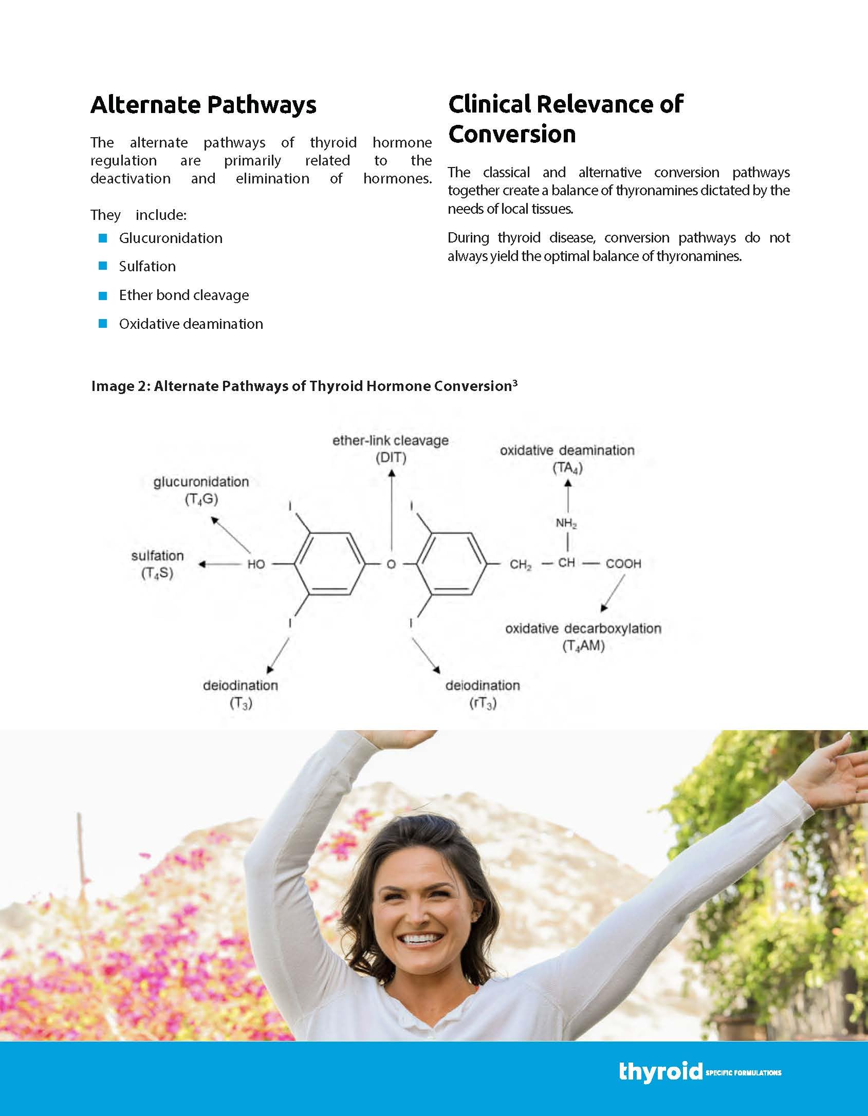 Thyroid Specific Formulations ingredientes clave en plato destacando selenio y zinc