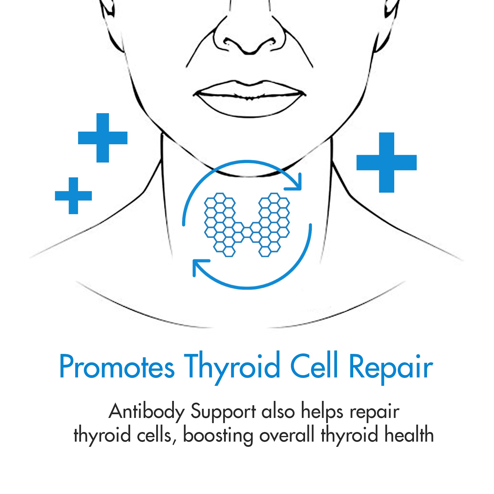 Thyroid Specific Formulations ingredientes en bandeja destacando pureza