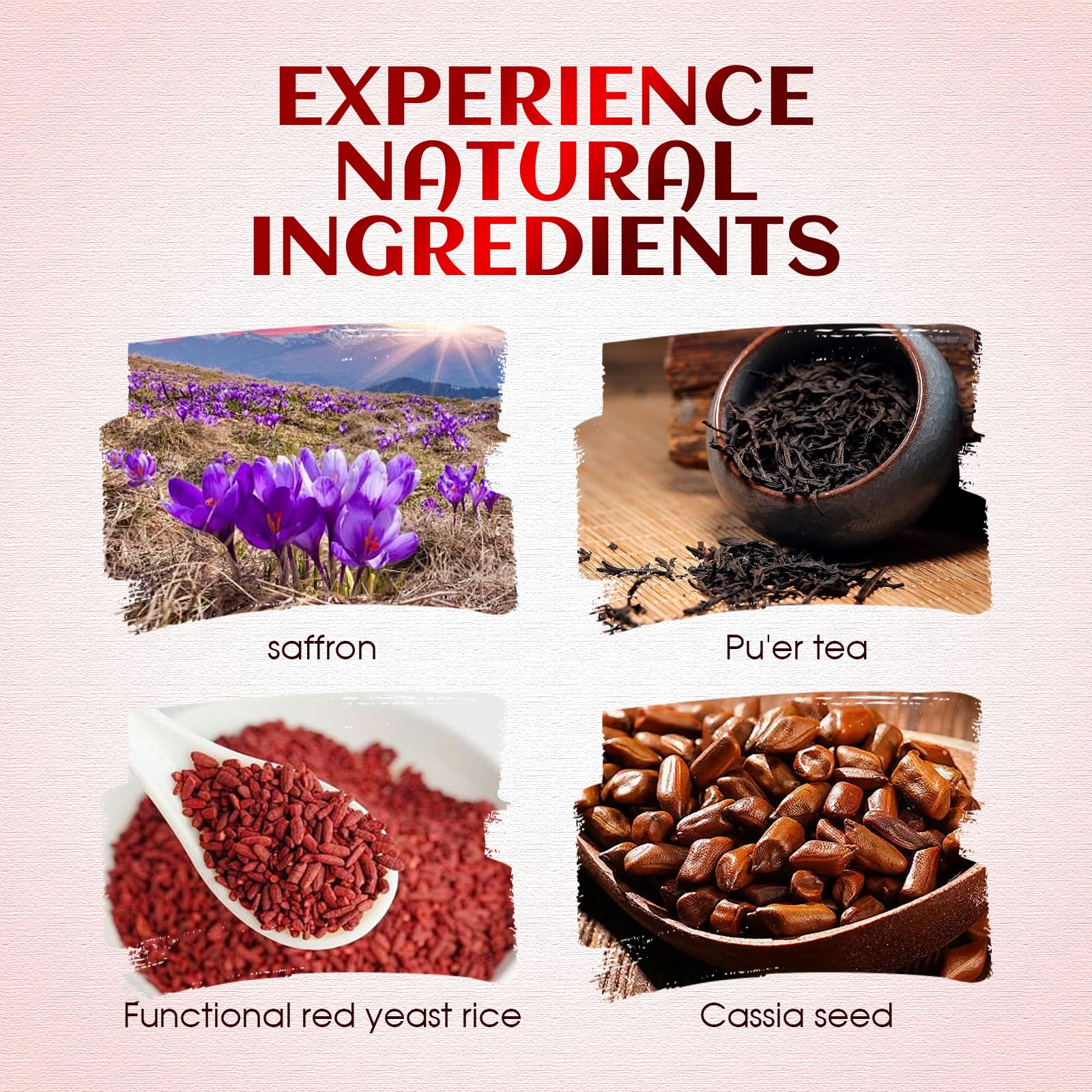 Generic taza humeante del té Tibetan Red Yeast Rice lista para beber y relajar
