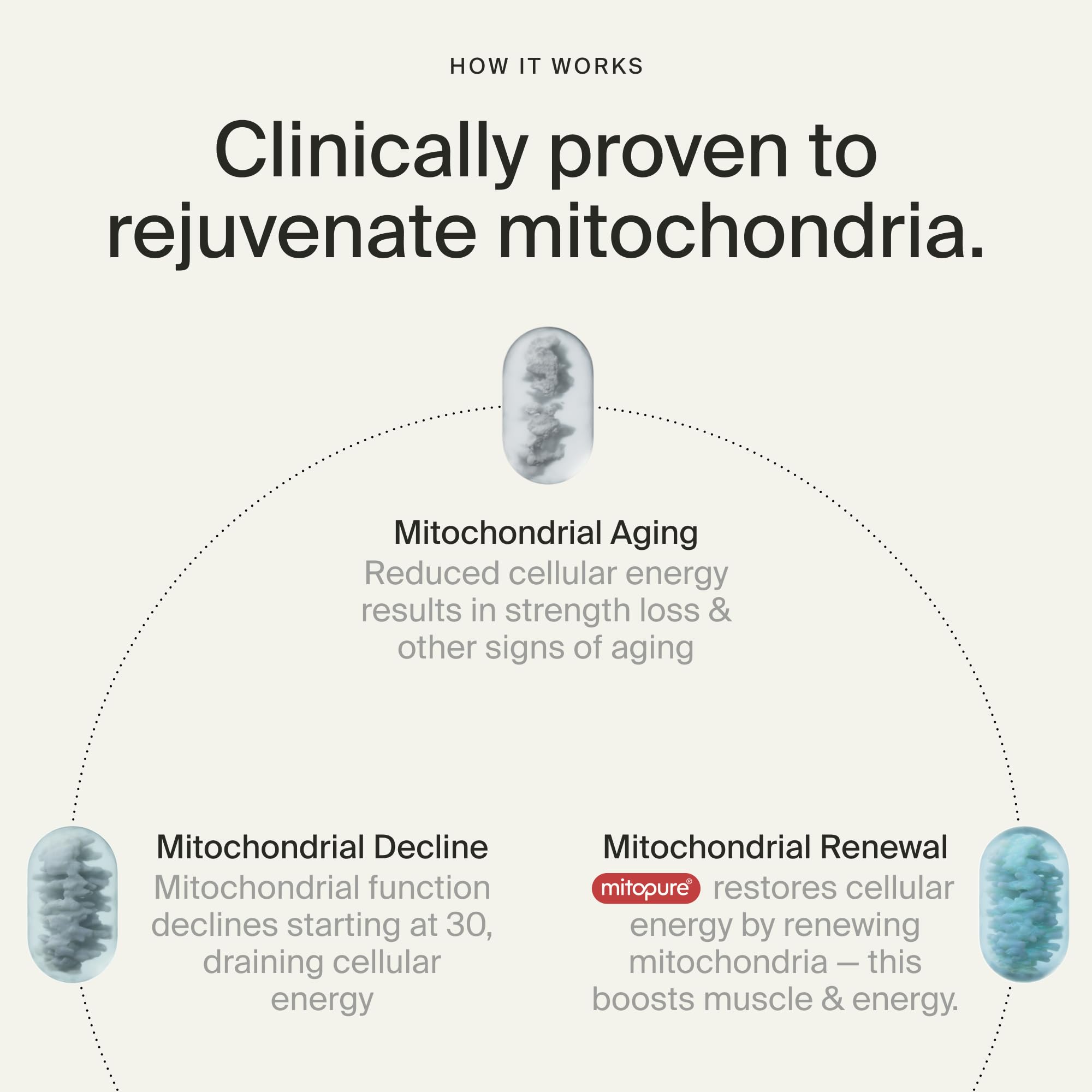 Botella abierta con softgels Mitopure de Timeline ilustrando dosis diaria segura