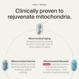 Botella abierta con softgels Mitopure de Timeline ilustrando dosis diaria segura