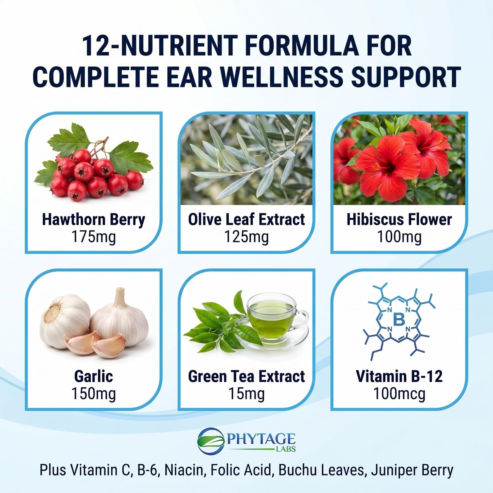 Tinnitus 911 polvo del interior resaltando ingredientes botánicos