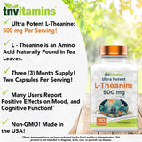 tnvitamins cápsula en mano para comparar tamaño y dosificación