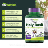 tnvitamins envase de 240 cápsulas sobre fondo claro destaca suministro de 8 meses