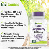 tnvitamins polvo de frambuesa negra concentrado que aporta fitoquímicos