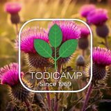 TODICAMP producto en ambiente lifestyle, sugerencia de uso en rutina saludable