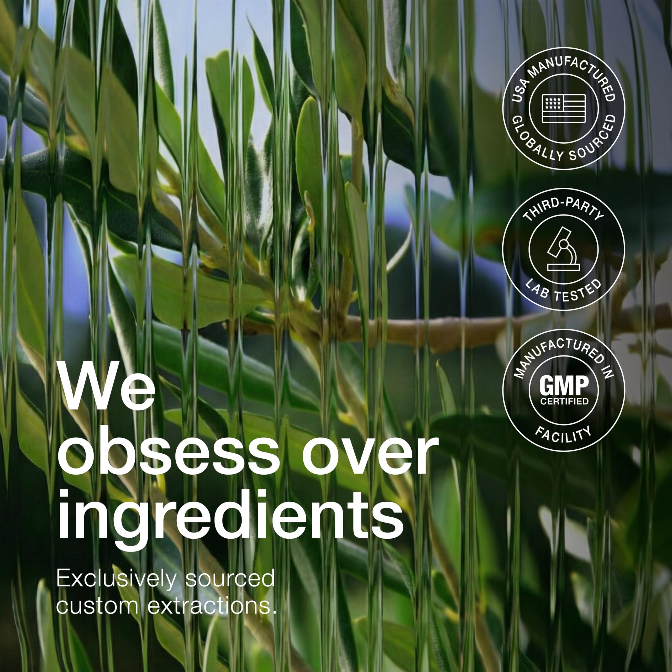 Toniiq hojas de olivo en primer plano que evocan origen vegetal puro