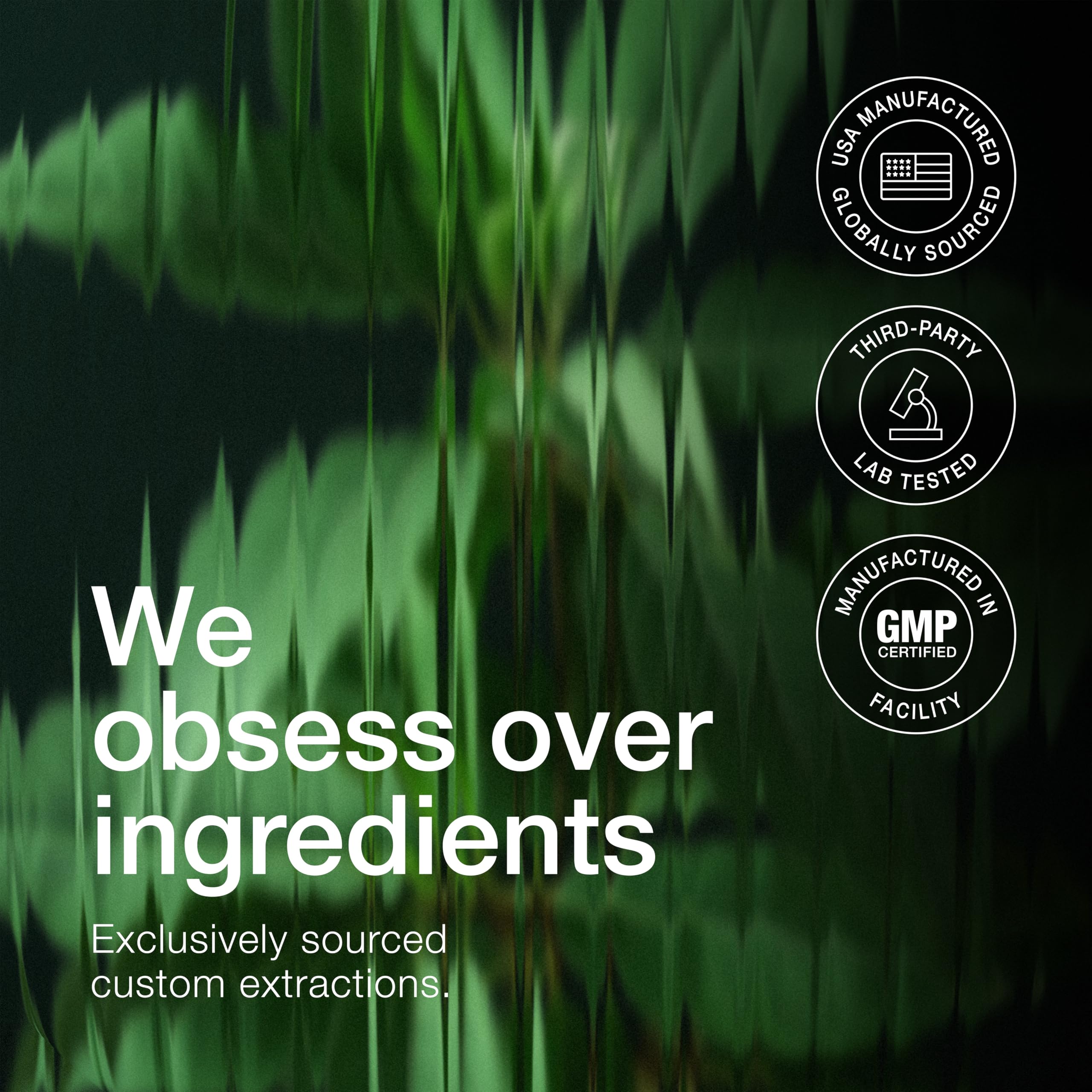 Toniiq ingredientes secos como canela e inulina para sinergia botánica
