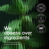 Toniiq ingredientes secos como canela e inulina para sinergia botánica