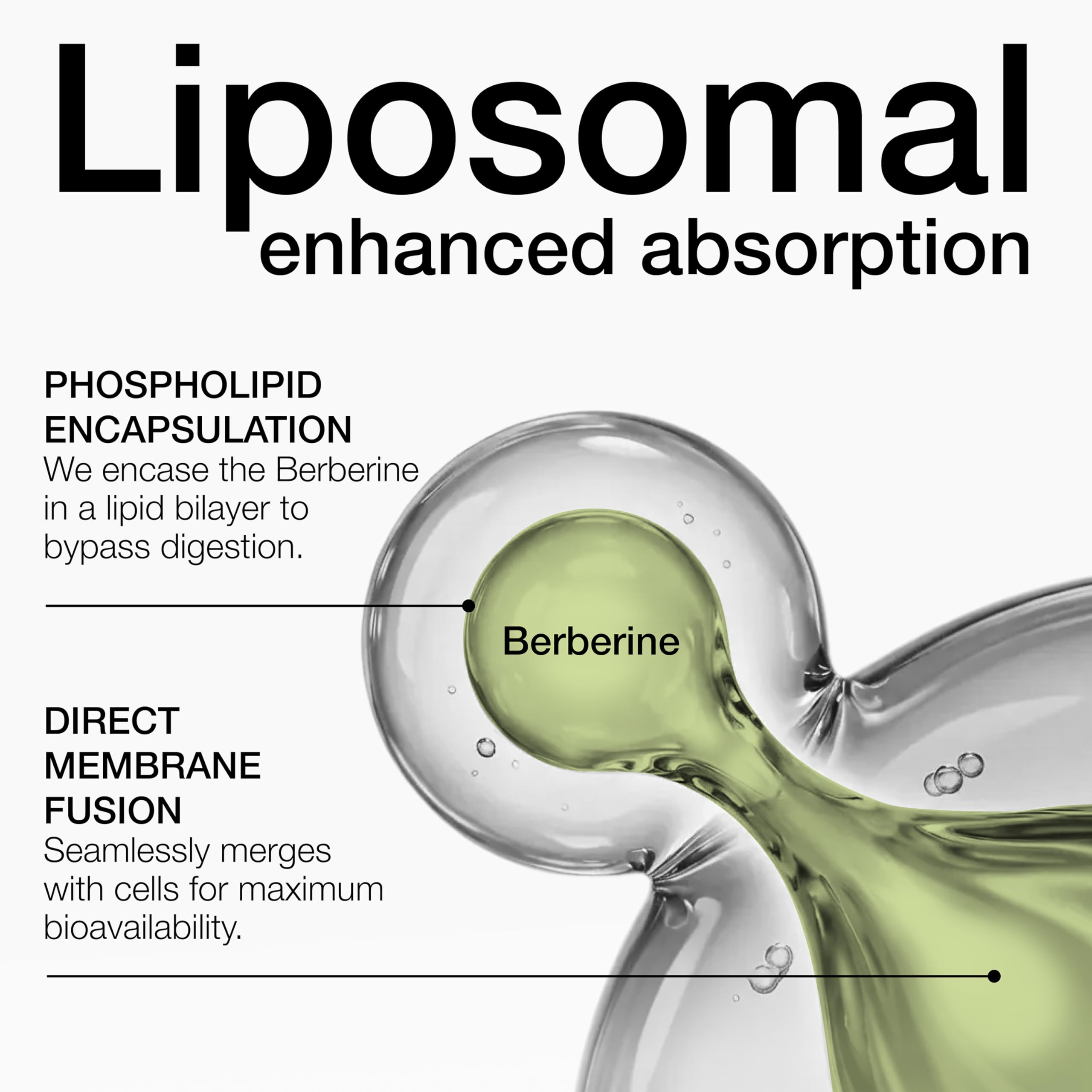 Toniiq ilustración liposomal microencapsulación para mejor absorción