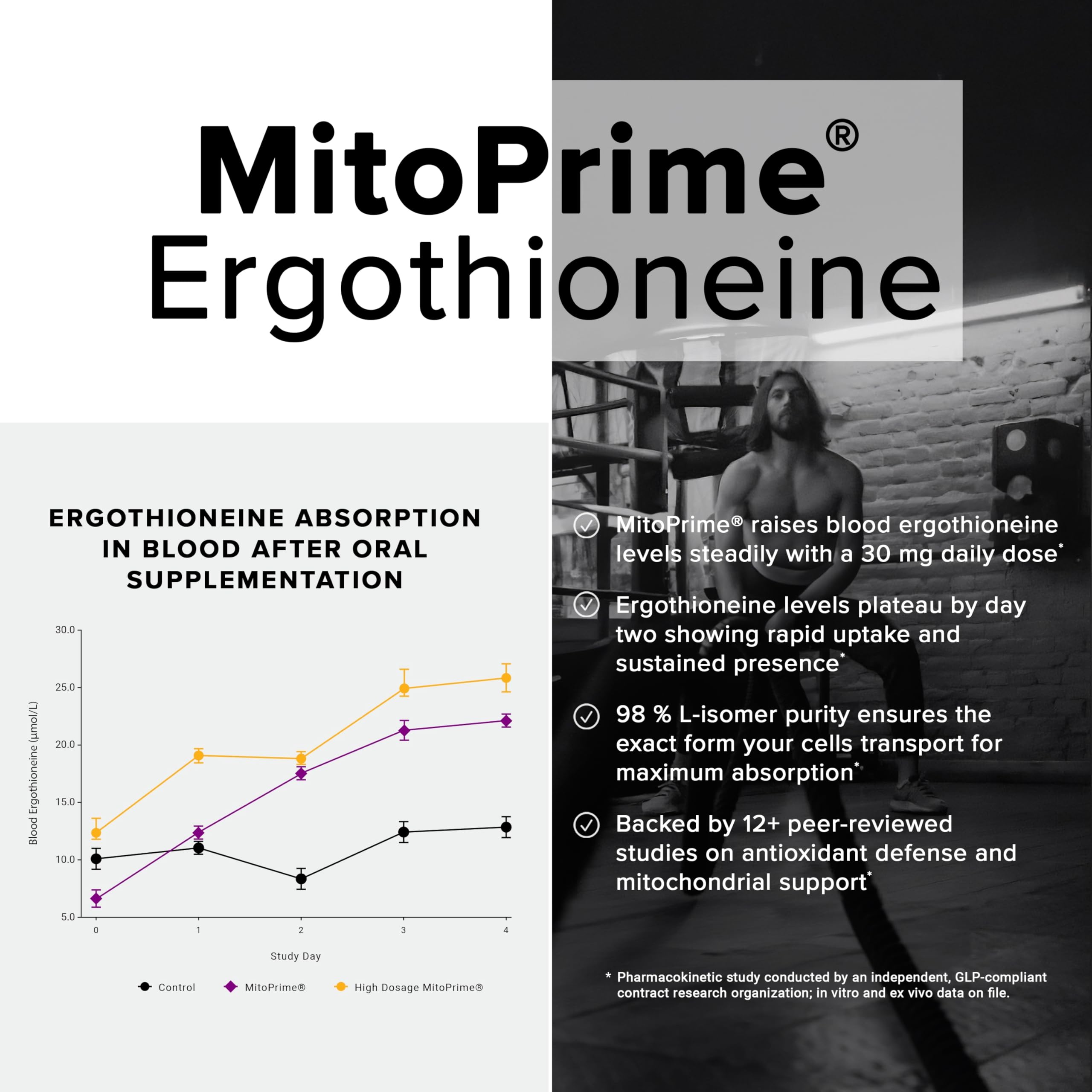 Toniiq textura del polvo MitoPrime ampliada, evidencia de fermentación y calidad