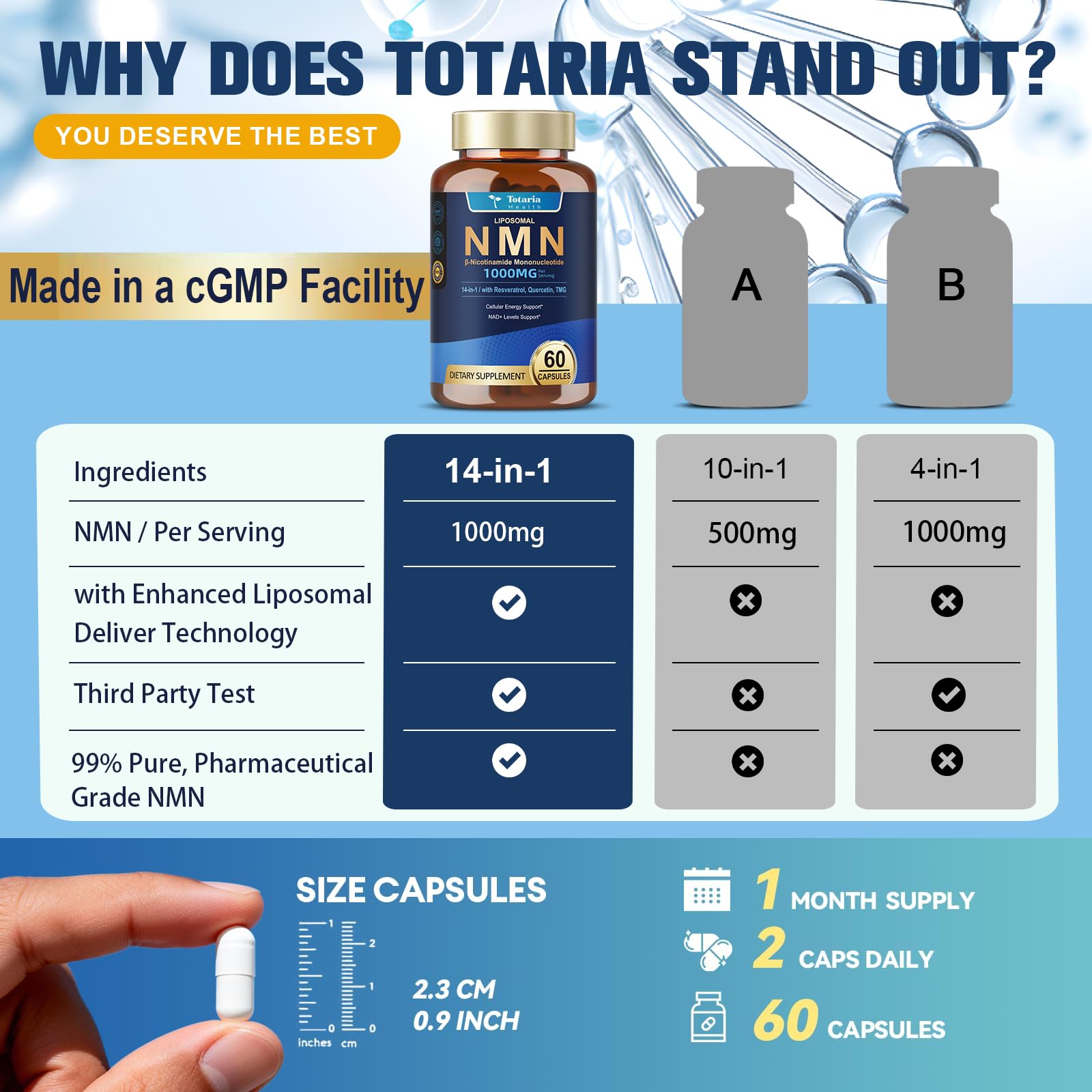 Totaria en ambiente de estilo de vida saludable, apoyo a la energía diaria