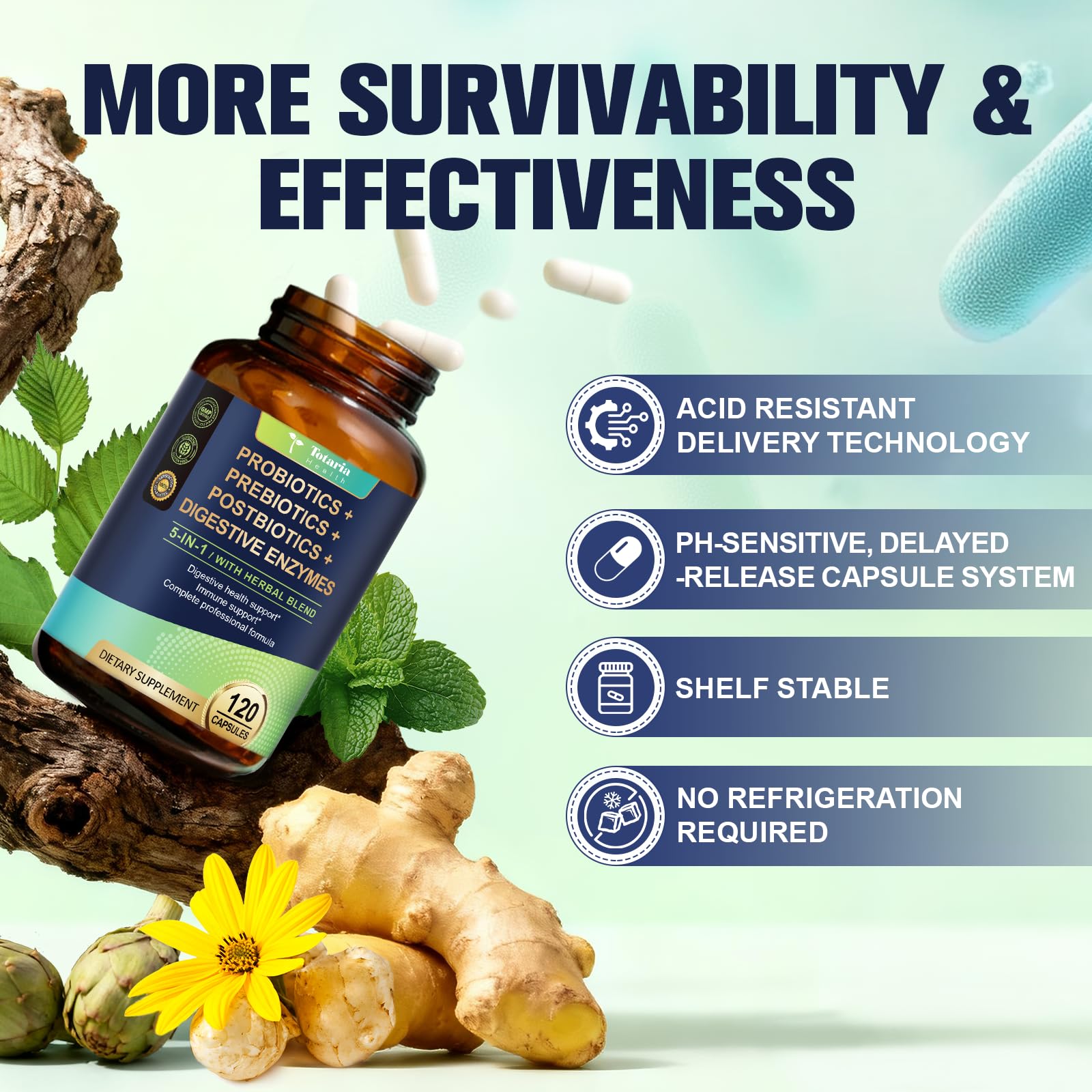 Extractos botánicos (slippery elm, jengibre, menta) usados en Totaria para confort digestivo