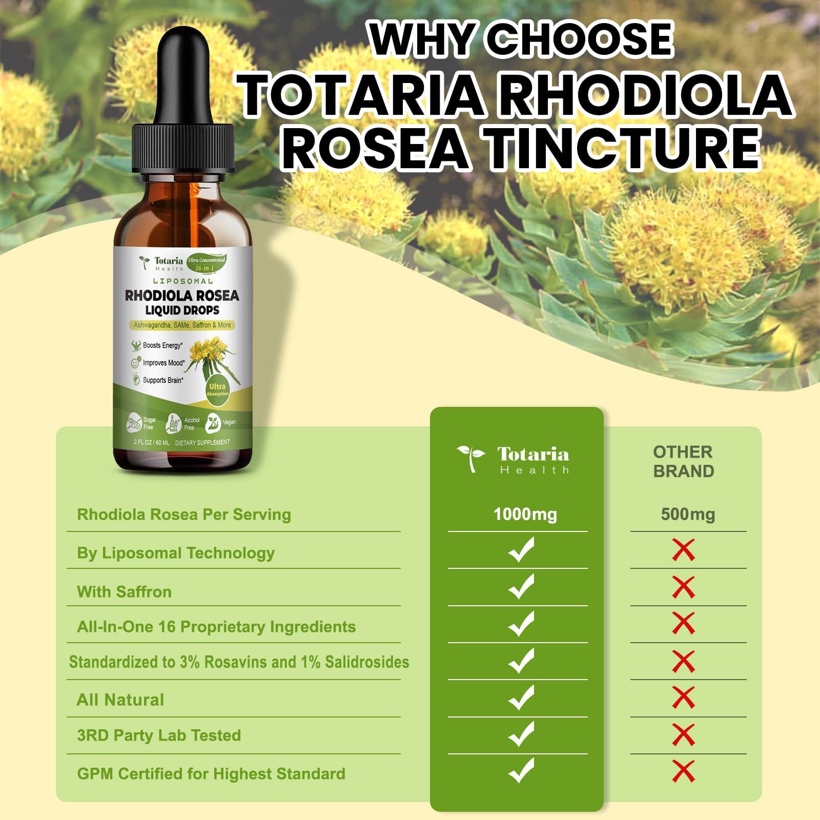 Totaria ingredientes naturales como rhodiola y ashwagandha en primer plano